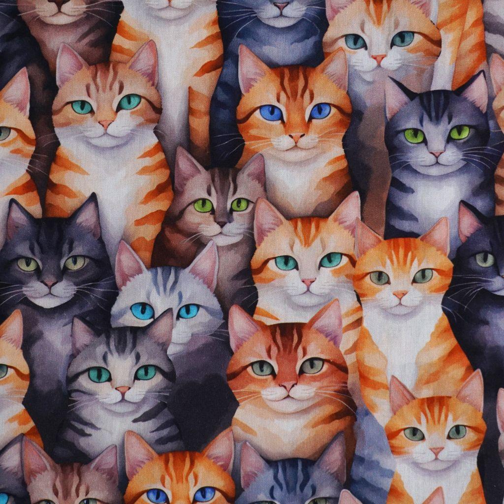 Baumwollstoff Motivdruck digital Katzen allover